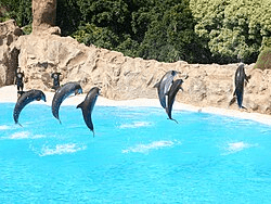 Loro Parque – 3
