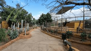 Monkey Park