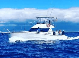 Sport Fishing – Private Charter